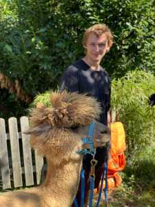 Studierender mit Lama oder Alpaka