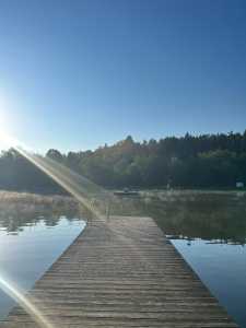 Steg am See