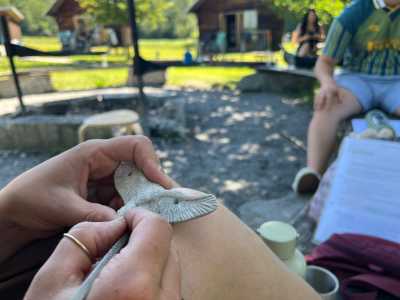 feine Specksteinarbeit