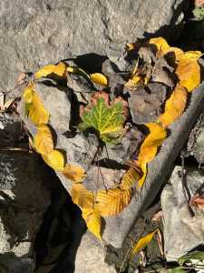LandArt - Herz