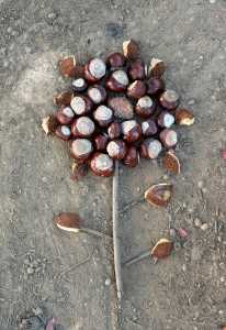 LandArt mit Kastanien